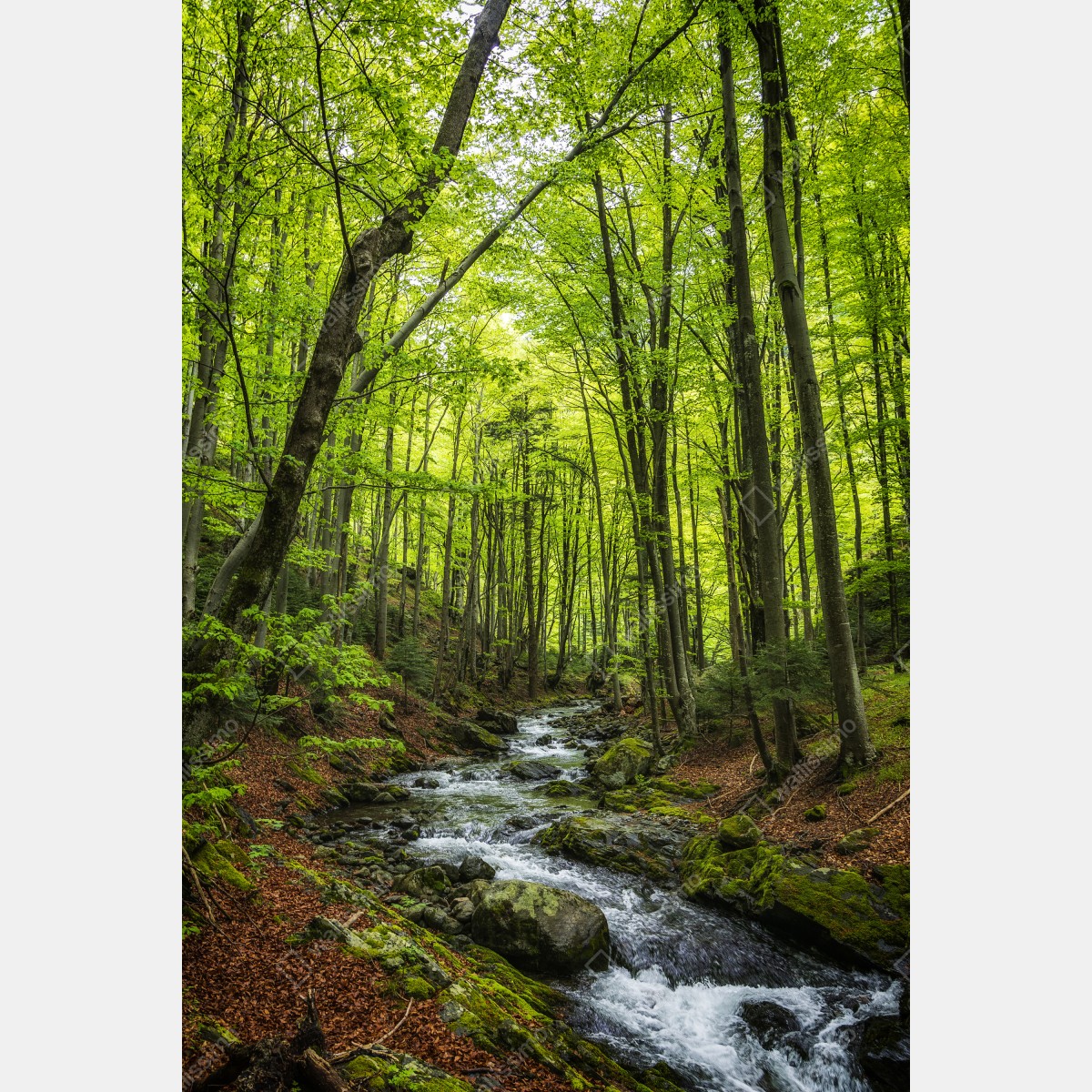 Naklejka na lodówkę spokojny leśny strumień – Wallissimo® Naklejka na lodówkę spokojny leśny strumień – Wallissimo®