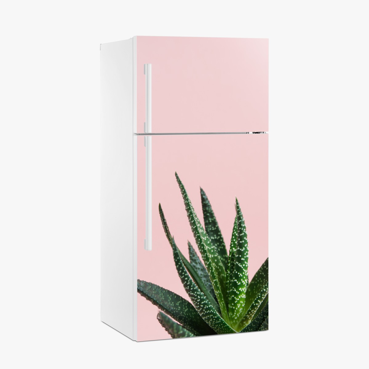 Fridge sticker green aloe on pink background – Wallissimo®