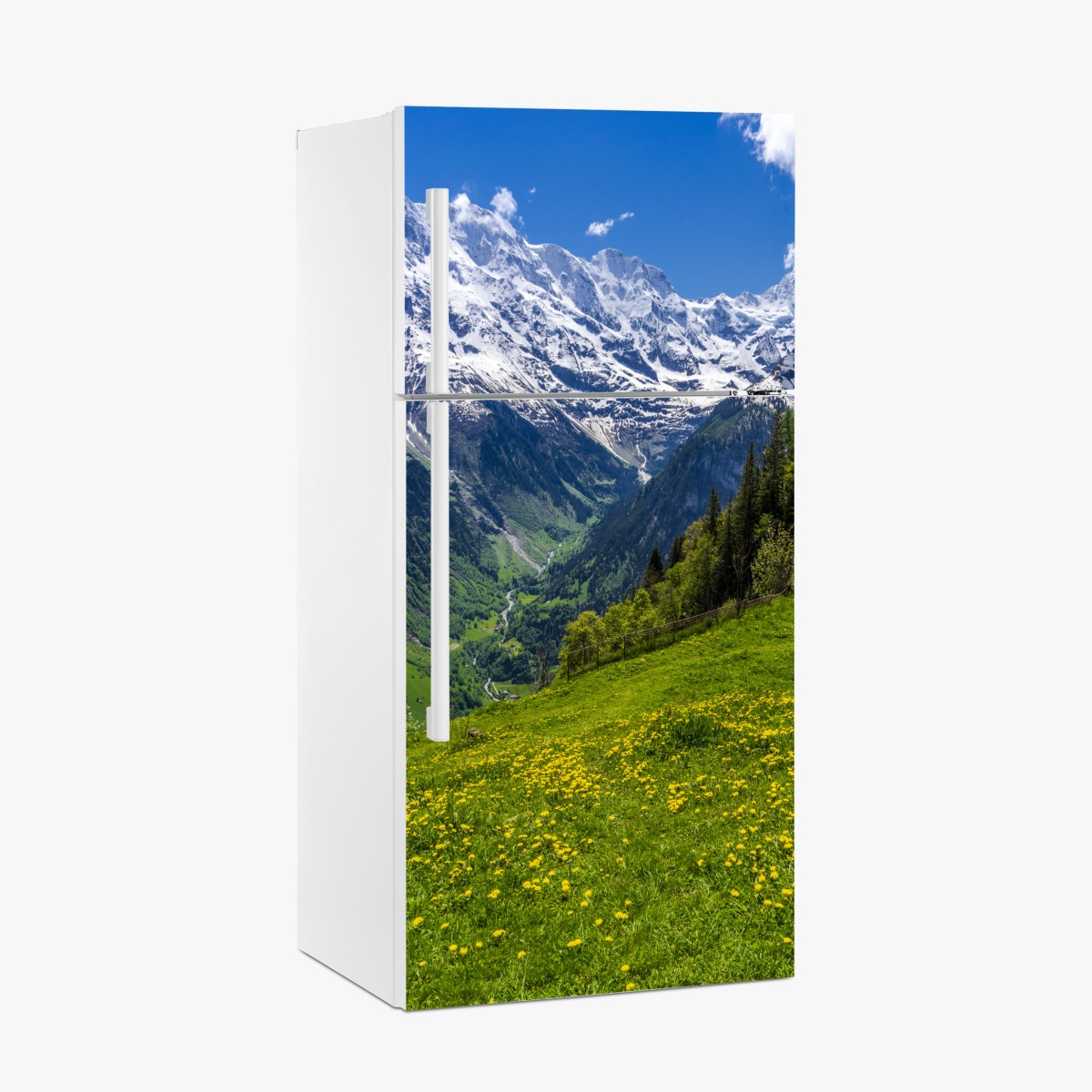 Fridge sticker alpine spring meadow under snowy peaks – Wallissimo®