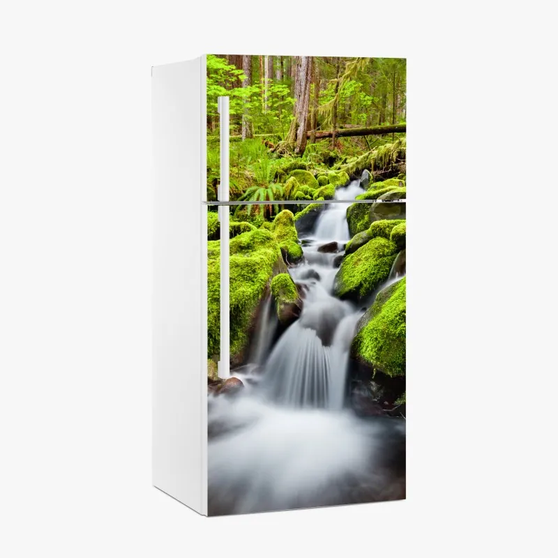 Naklejka na lodówkę mechowy strumień przy Sol Duc Falls