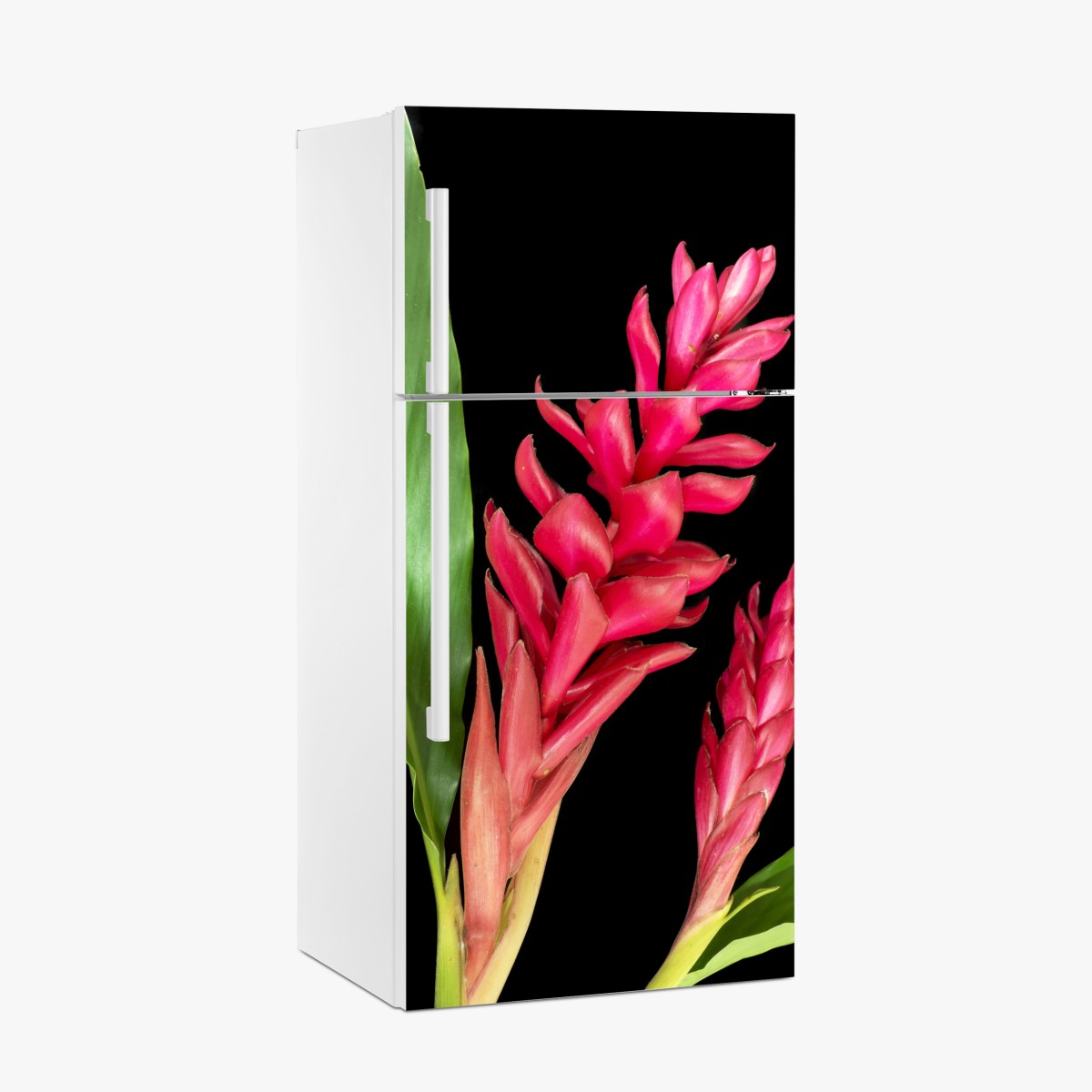 Fridge sticker vibrant torch ginger bloom on black – Wallissimo®