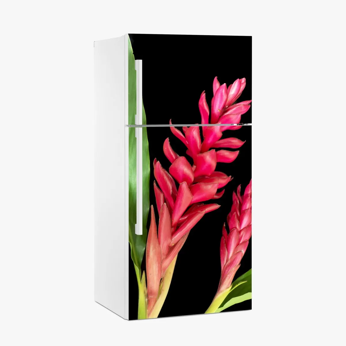 Naklejka na lodówkę żywy kwiat ognia na czarnym tle – Wallissimo® Naklejka na lodówkę żywy kwiat ognia na czarnym tle – Wallissimo®