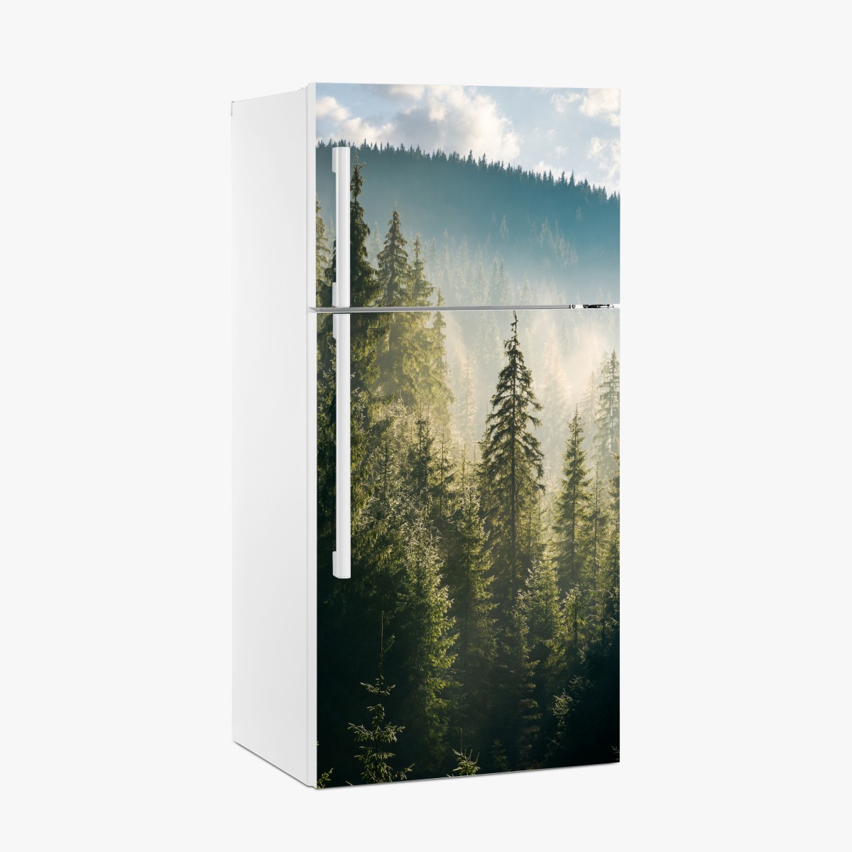 Fridge sticker misty spruce forest in morning light – Wallissimo®