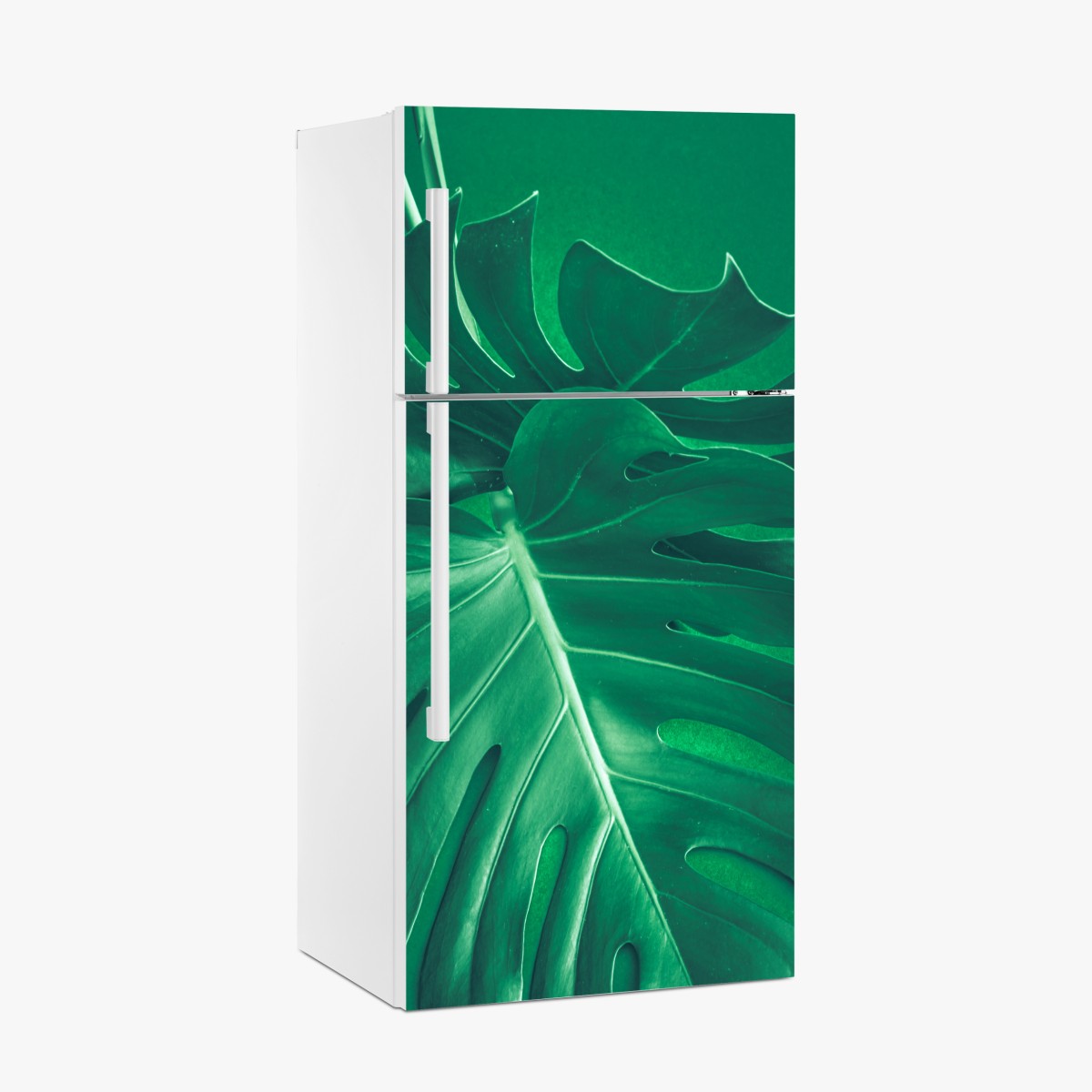 Fridge sticker lush monstera leaf close-up – Wallissimo®