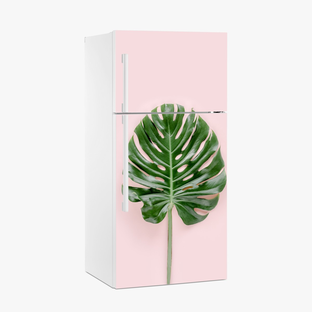 Fridge sticker monstera leaf on pastel pink background – Wallissimo®