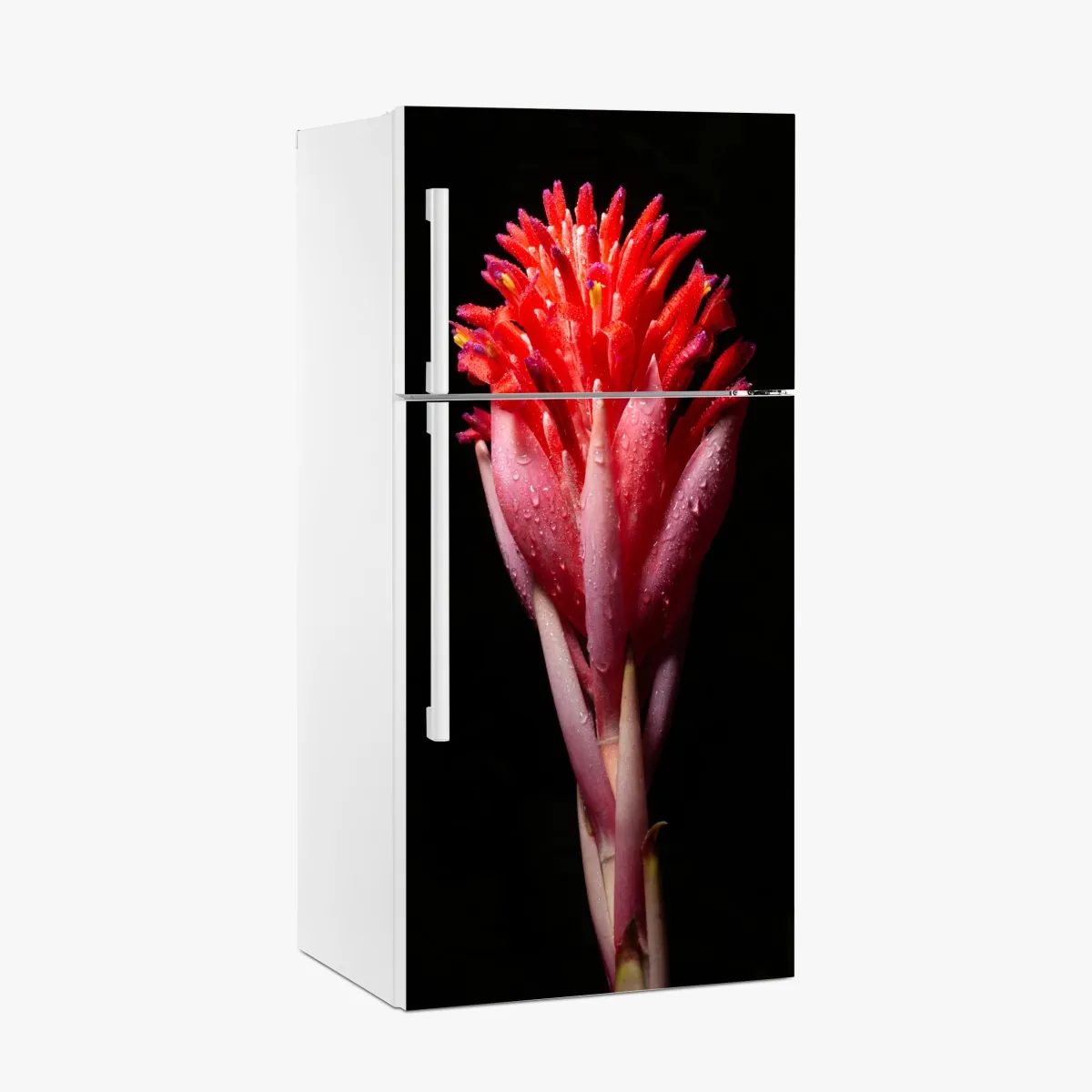 Naklejka na lodówkę intensywny różowy kwiat na czarnym tle – Wallissimo® Naklejka na lodówkę intensywny różowy kwiat na czarnym tle – Wallissimo®