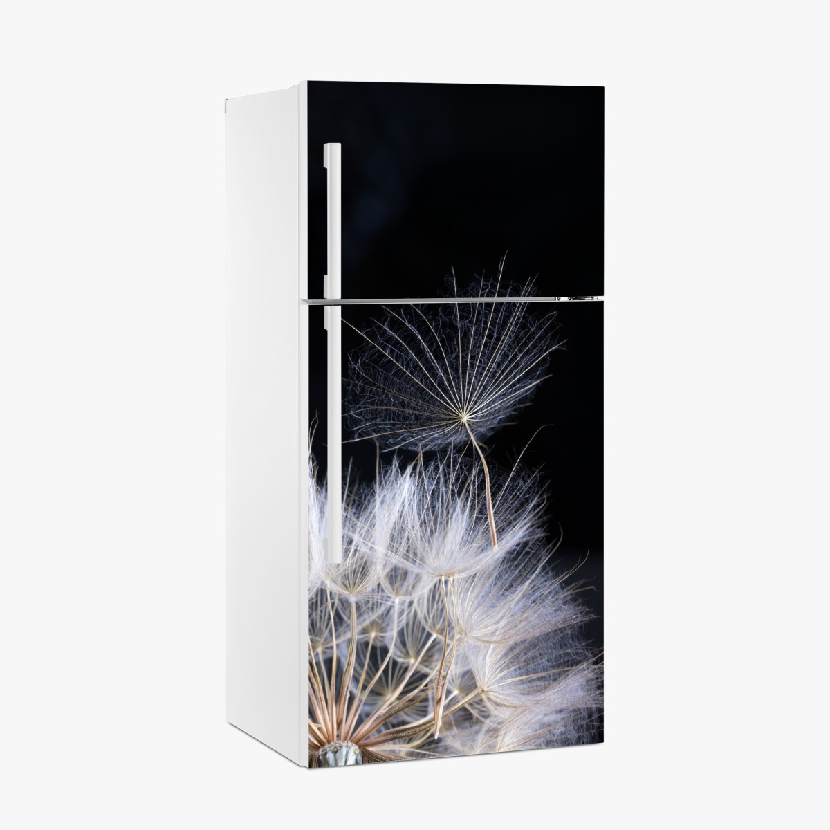 Fridge sticker delicate dandelion seed on black – Wallissimo®