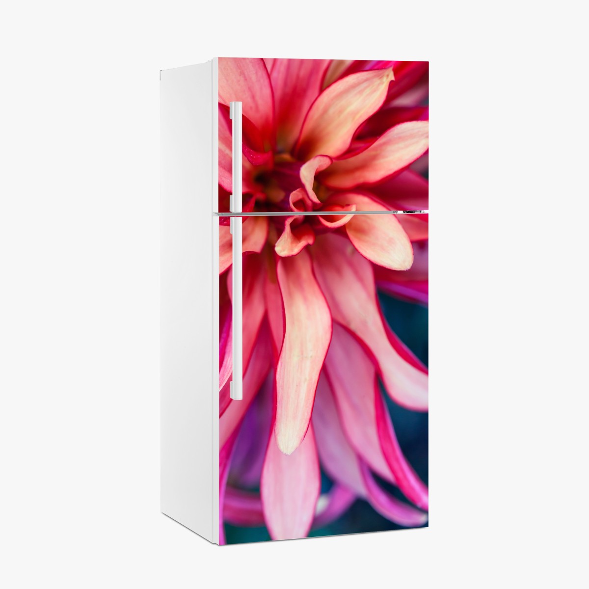 Fridge sticker vibrant pink floral close-up – Wallissimo®