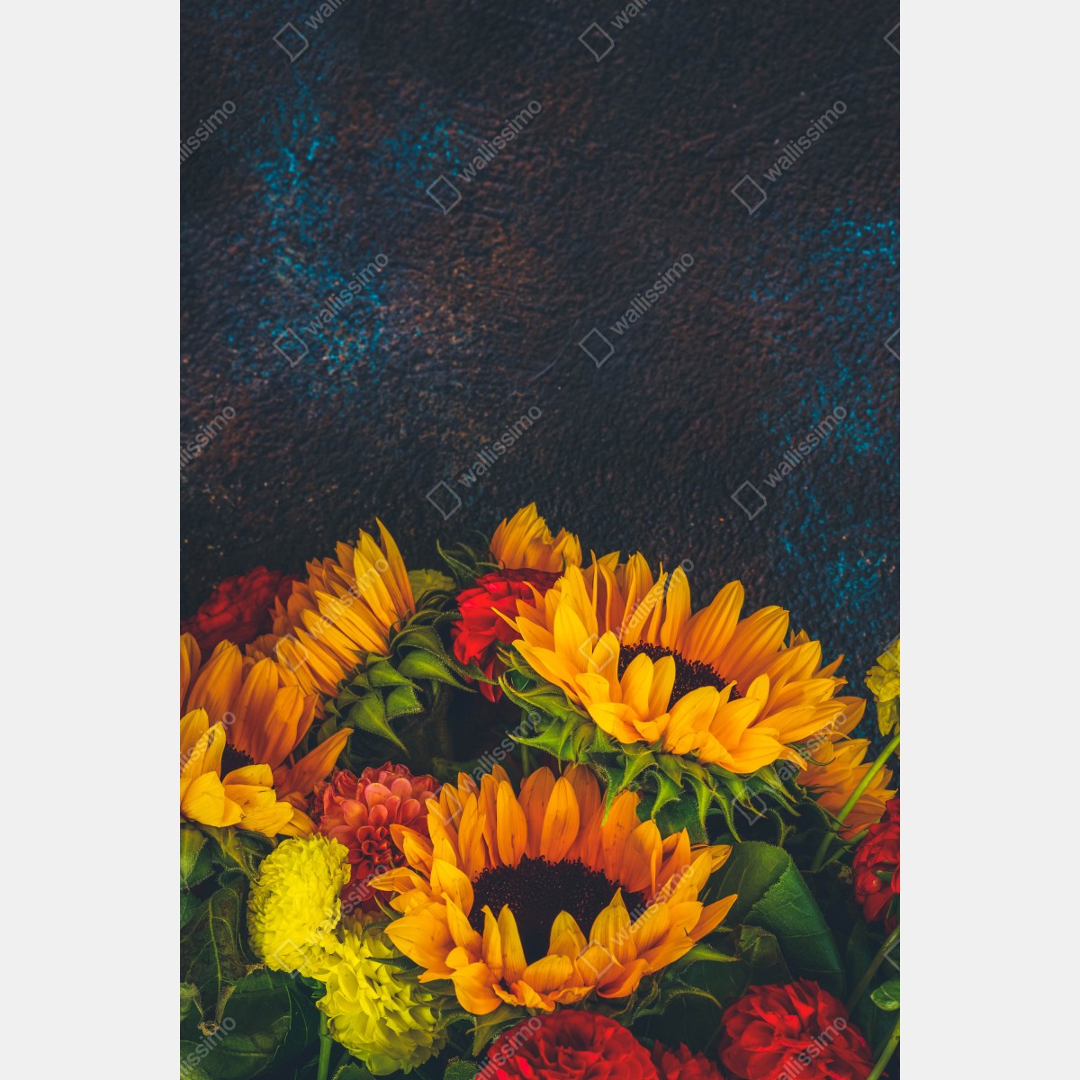 Naklejka na lodówkę żywy bukiet słoneczników na ciemnym tle – Wallissimo® Naklejka na lodówkę żywy bukiet słoneczników na ciemnym tle – Wallissimo®