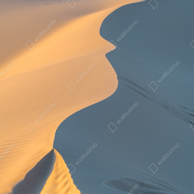 Naklejka na lodówkę złote krzywizny wydm – Wallissimo® Naklejka na lodówkę złote krzywizny wydm – Wallissimo®