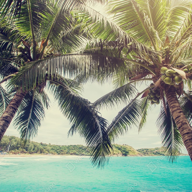 Naklejka na lodówkę tropikalne palmy kokosowe nad turkusowym morzem – Wallissimo® Naklejka na lodówkę tropikalne palmy kokosowe nad turkusowym morzem – Wallissimo®