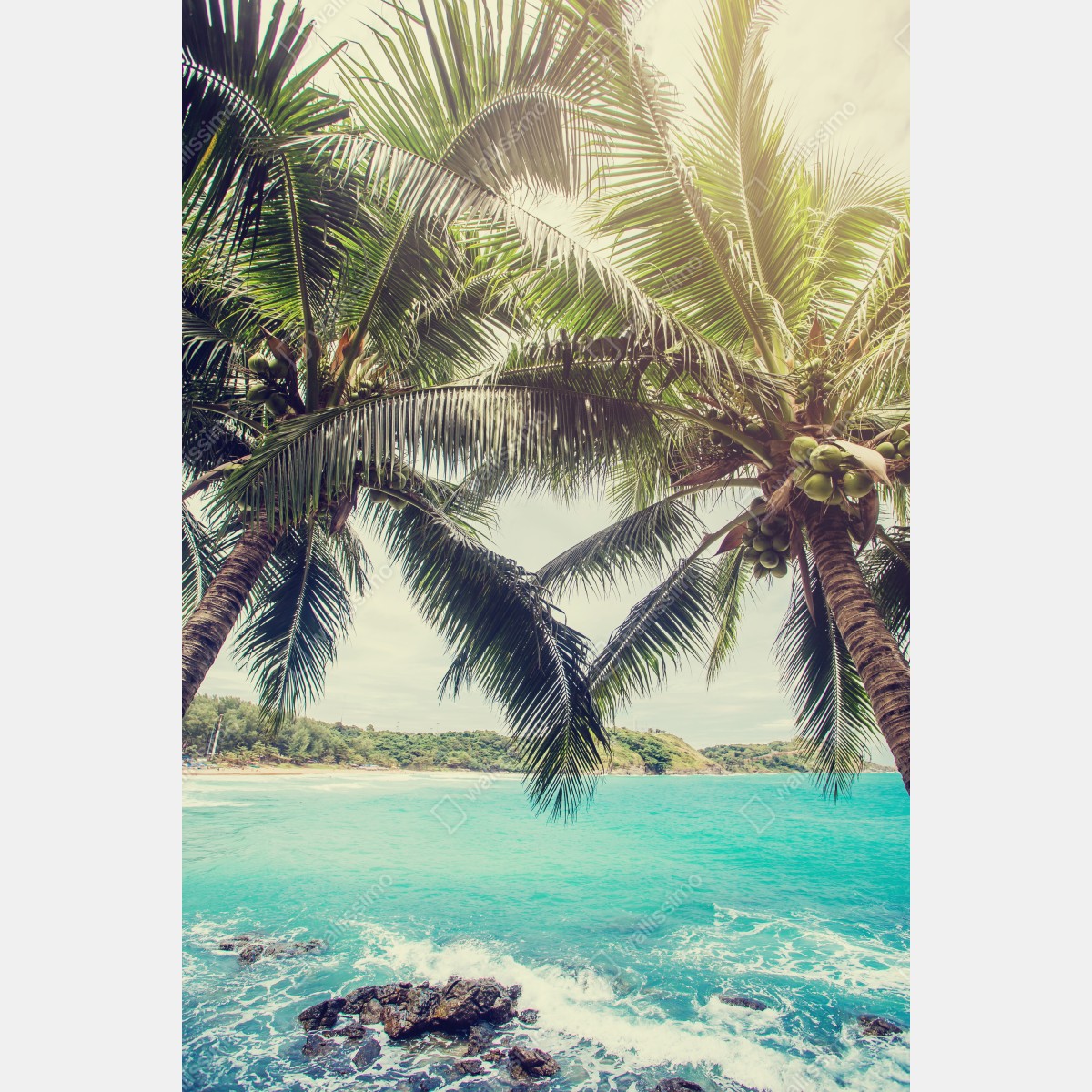 Naklejka na lodówkę tropikalne palmy kokosowe nad turkusowym morzem – Wallissimo® Naklejka na lodówkę tropikalne palmy kokosowe nad turkusowym morzem – Wallissimo®