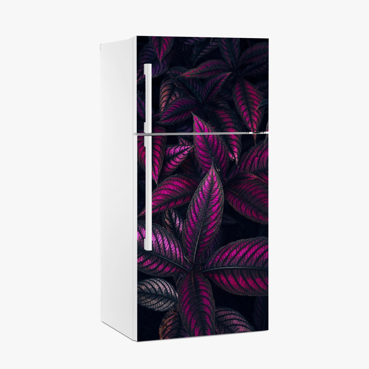 Fridge sticker vivid purple foliage pattern – Wallissimo®