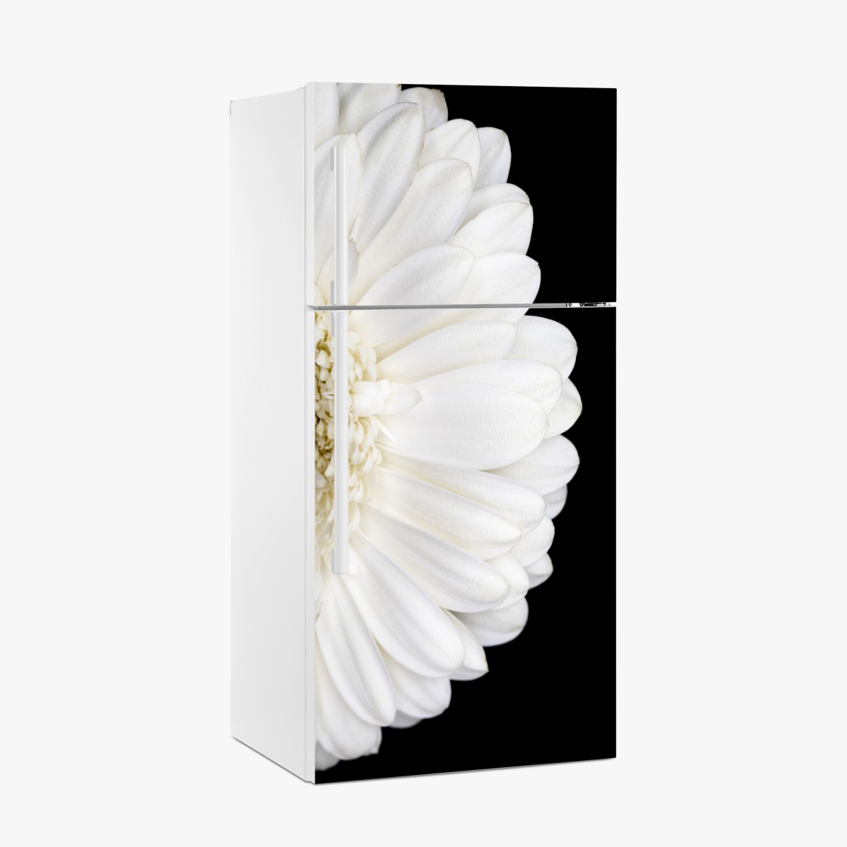 Fridge sticker white gerbera on black minimalist close-up – Wallissimo®