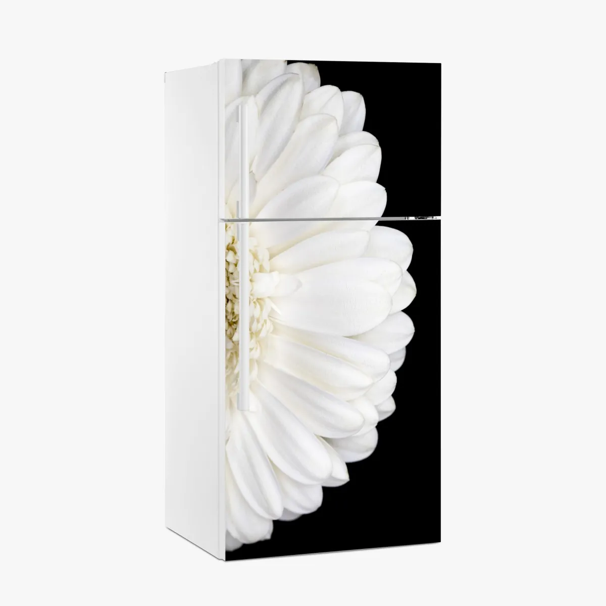 Naklejka na lodówkę biała gerbera na czarnym tle minimalistyczne zbliżenie – Wallissimo® Naklejka na lodówkę biała gerbera na czarnym tle minimalistyczne zbliżenie – Wallissimo®
