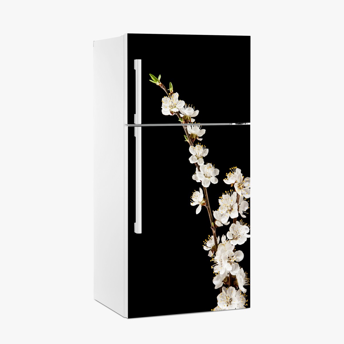 Fridge sticker delicate apricot blossom branch on black – Wallissimo®