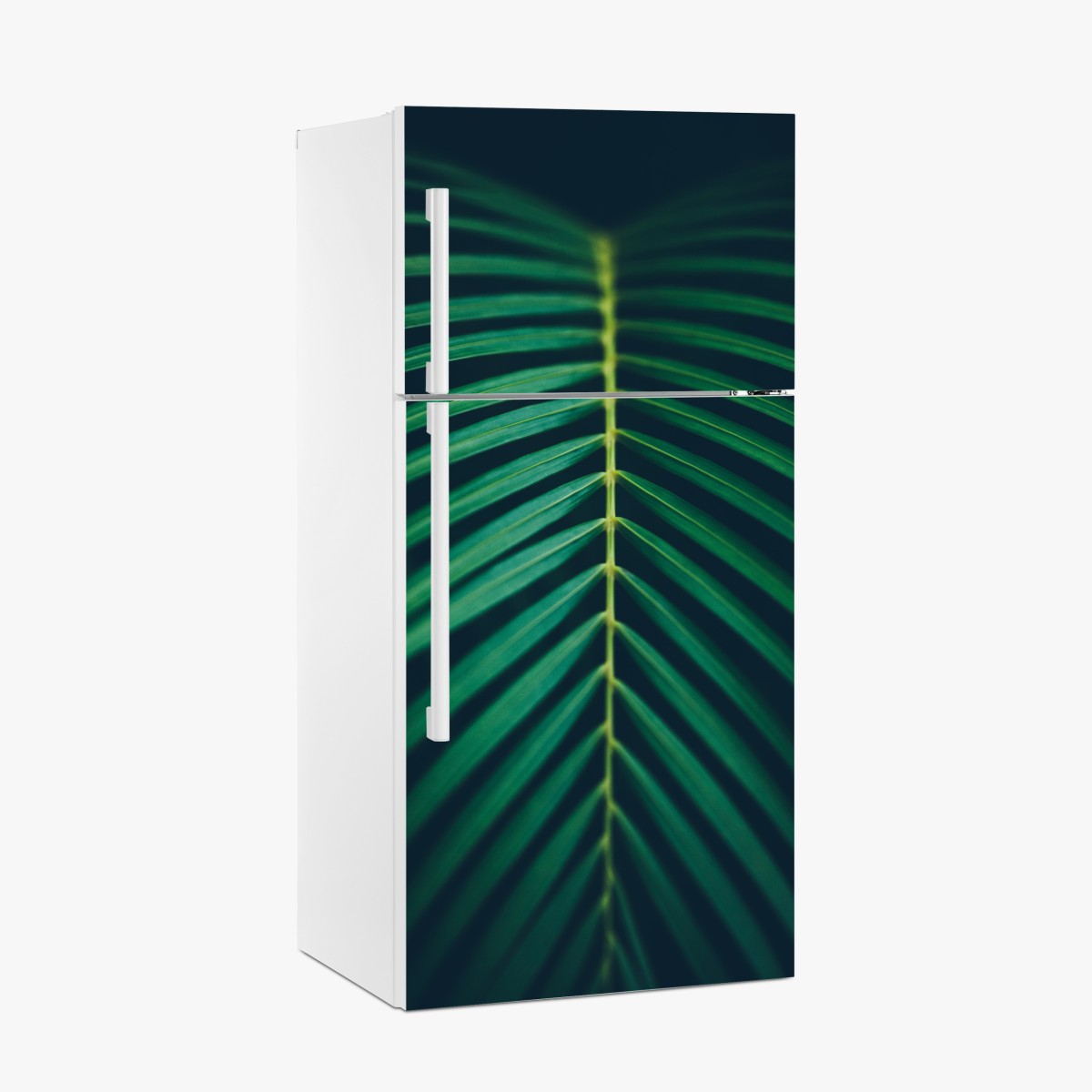 Fridge sticker vertical palm leaf close-up – Wallissimo®