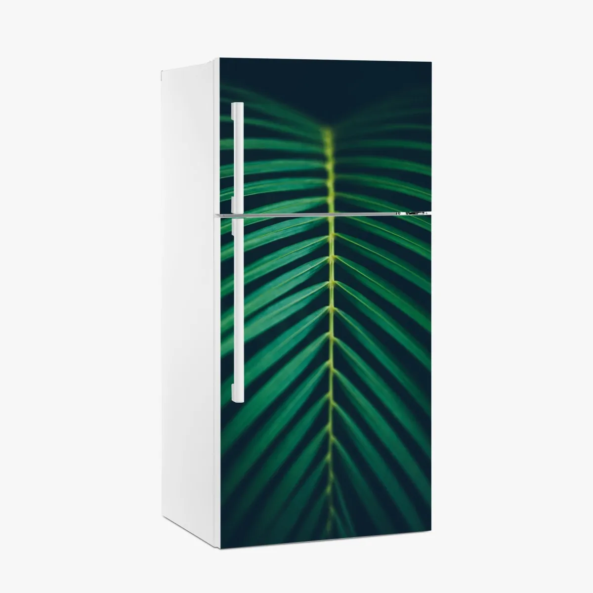 Naklejka na lodówkę pionowy liść palmy z bliska – Wallissimo® Naklejka na lodówkę pionowy liść palmy z bliska – Wallissimo®