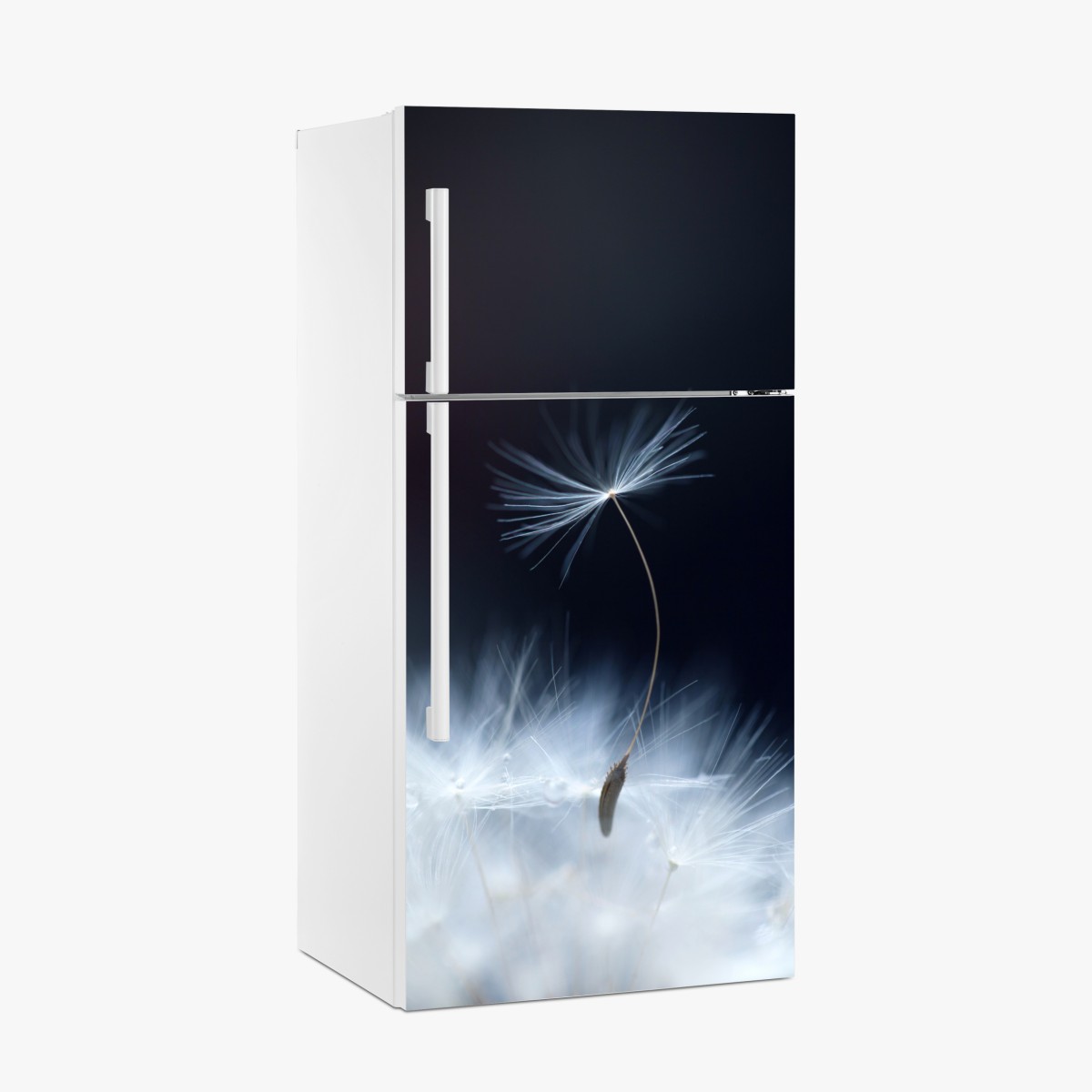 Fridge sticker delicate dandelion seed close-up – Wallissimo®