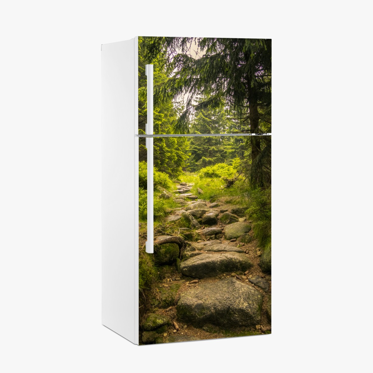Fridge sticker serene forest path through evergreen woods – Wallissimo®