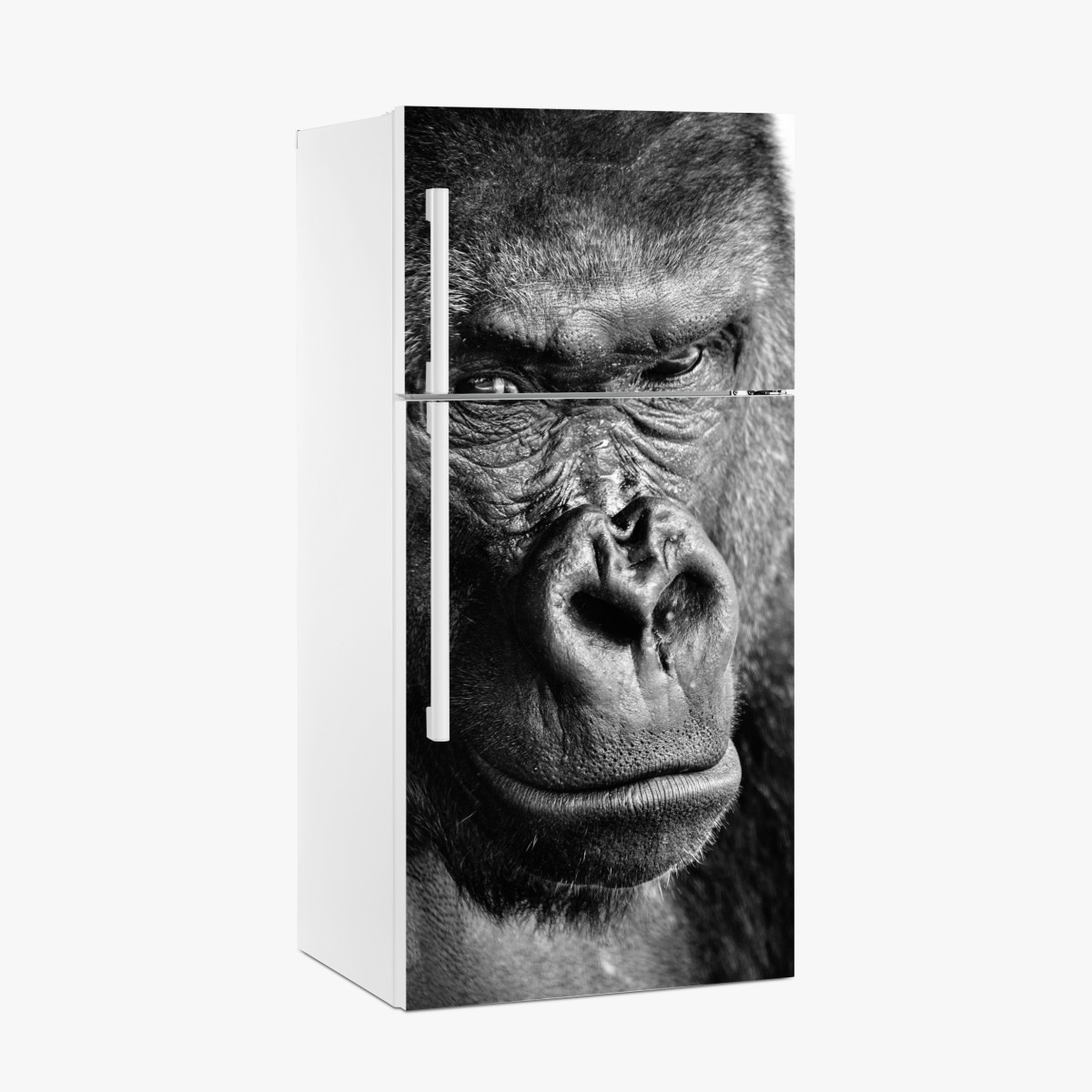 Fridge sticker intense gorilla portrait in black and white – Wallissimo®