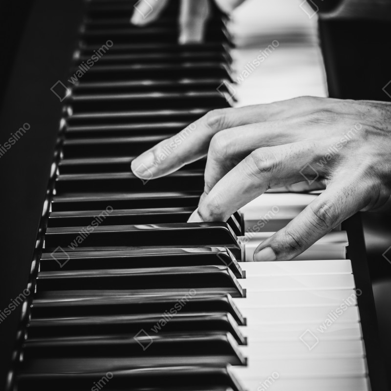 Naklejka na lodówkę dłonie przy fortepianie w ruchu – Wallissimo® Naklejka na lodówkę dłonie przy fortepianie w ruchu – Wallissimo®