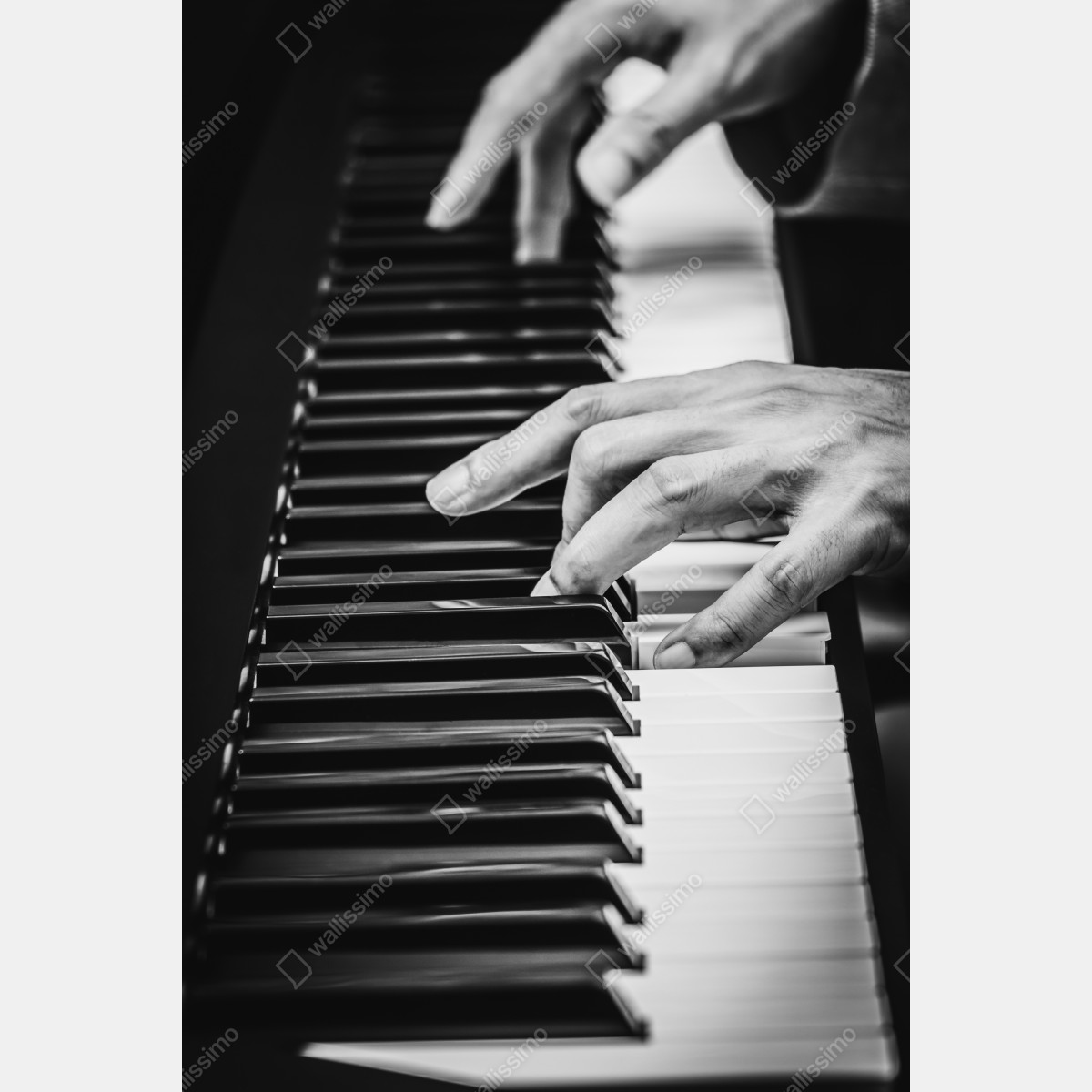 Naklejka na lodówkę dłonie przy fortepianie w ruchu – Wallissimo® Naklejka na lodówkę dłonie przy fortepianie w ruchu – Wallissimo®