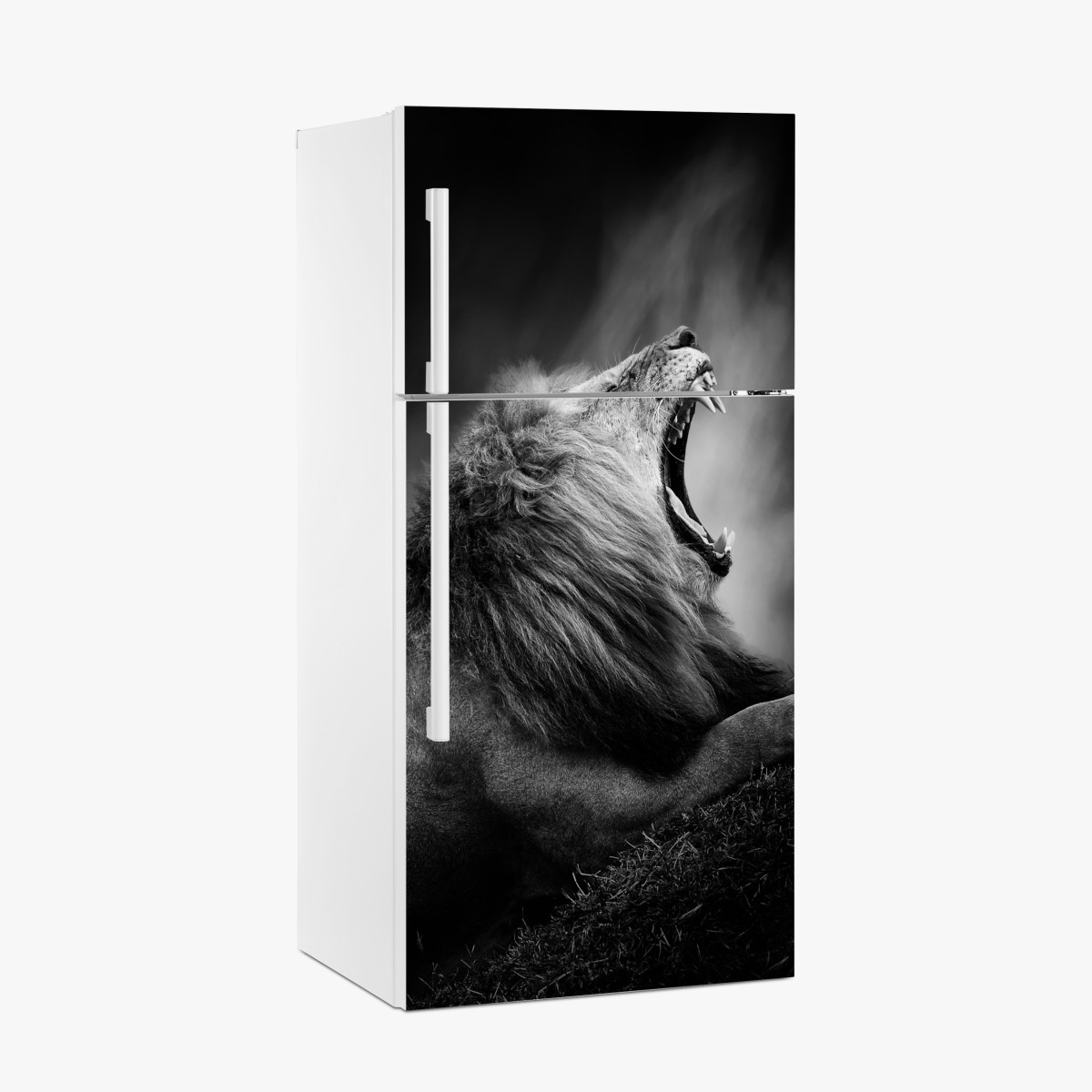 Fridge sticker majestic roaring lion in monochrome – Wallissimo®