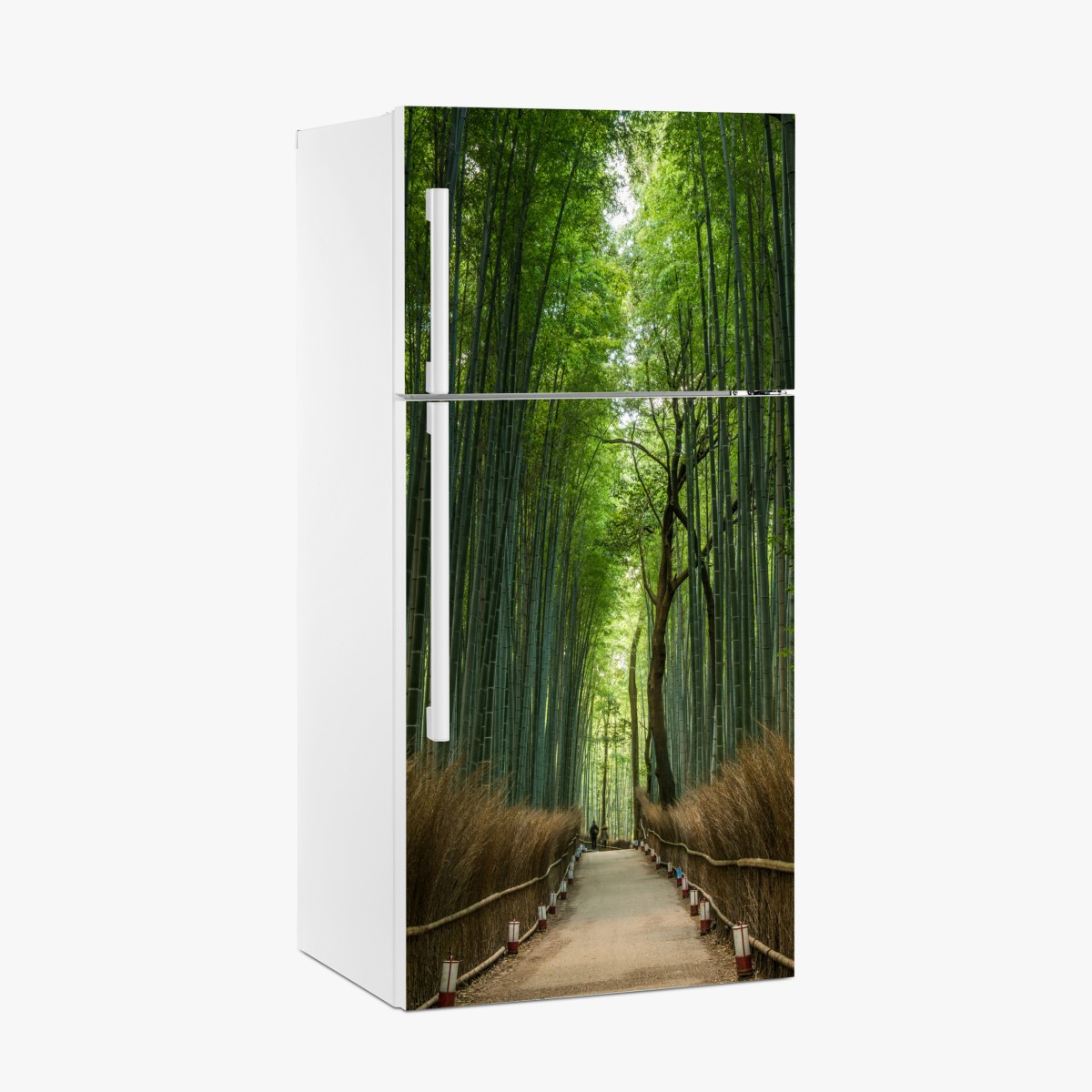 Fridge sticker serene bamboo grove pathway – Wallissimo®
