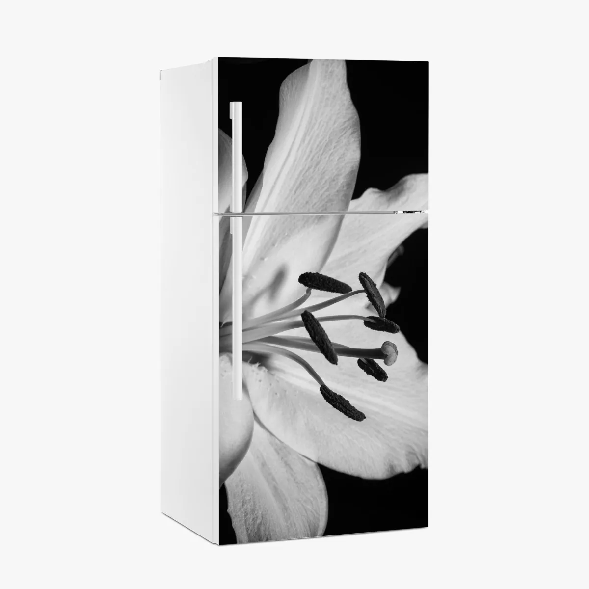 Naklejka na lodówkę monochromatyczna lilia zbliżenie – Wallissimo® Naklejka na lodówkę monochromatyczna lilia zbliżenie – Wallissimo®