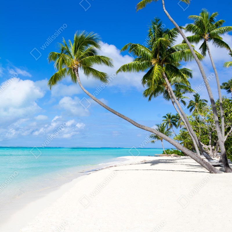 Naklejka na lodówkę tropikalna plaża z palmami – Wallissimo® Naklejka na lodówkę tropikalna plaża z palmami – Wallissimo®