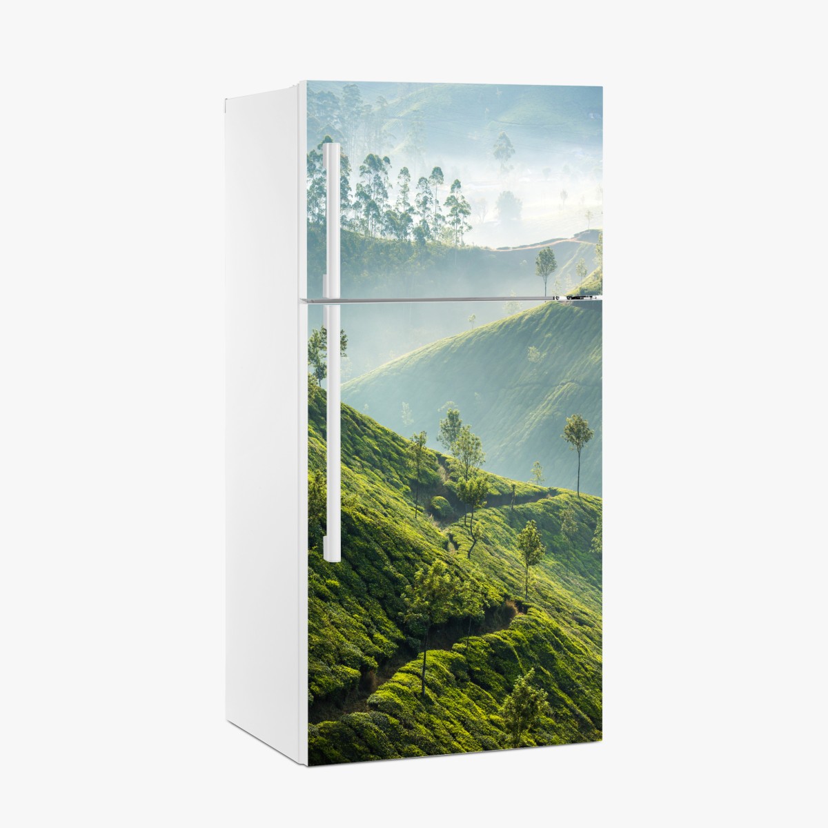 Fridge sticker misty tea terraces of Munnar – Wallissimo®