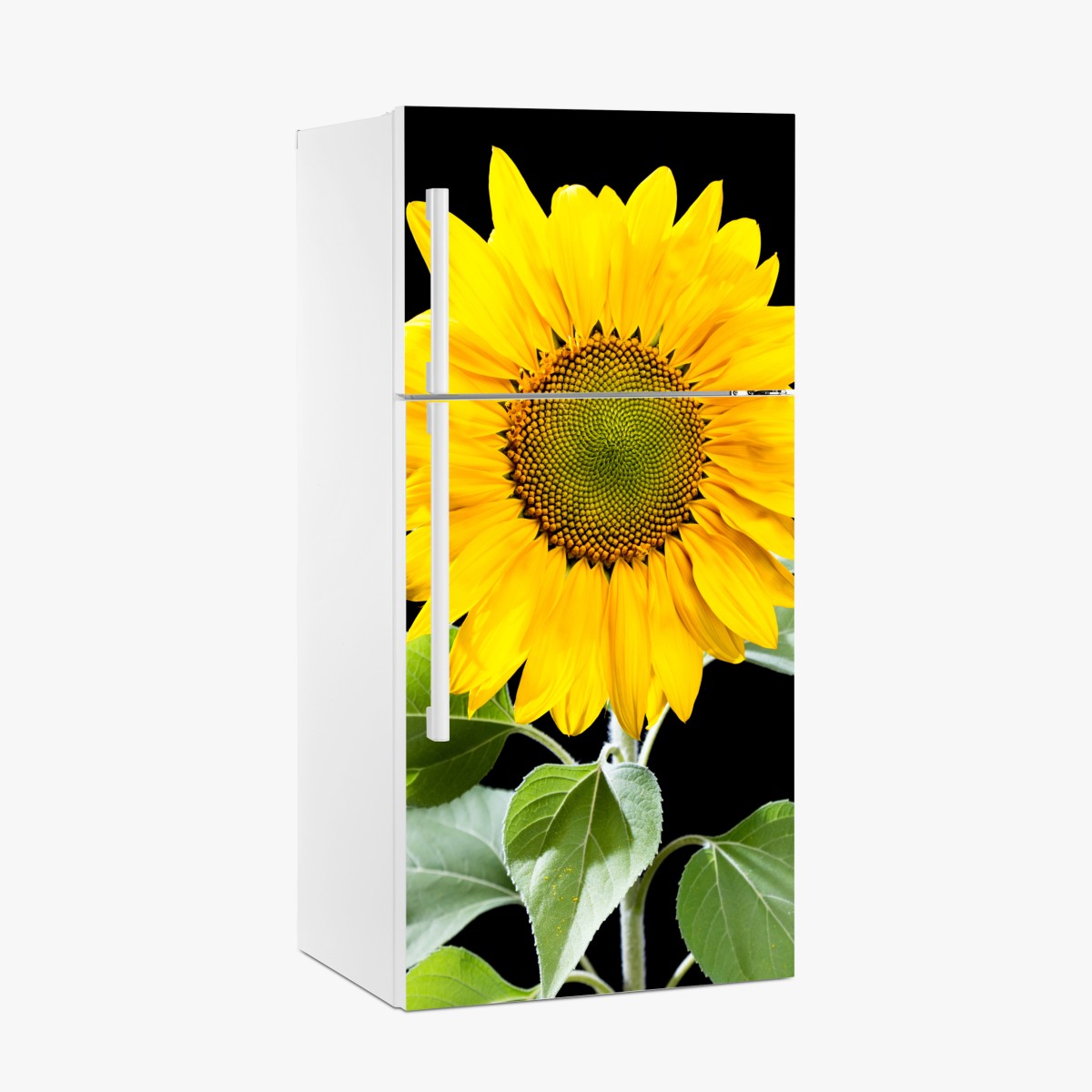 Fridge sticker vibrant sunflower on black background – Wallissimo®