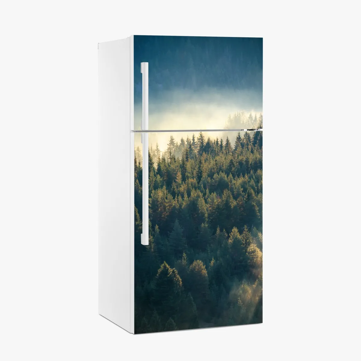 Naklejka na lodówkę mglisty las sosnowy o świcie – Wallissimo® Naklejka na lodówkę mglisty las sosnowy o świcie – Wallissimo®