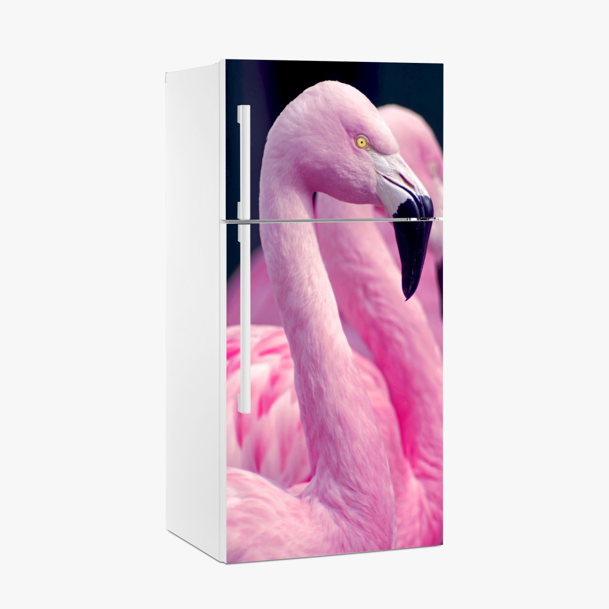 Fridge sticker graceful pink flamingo portrait – Wallissimo®