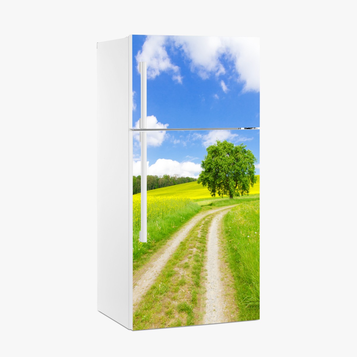 Fridge sticker sunlit country path and lone tree – Wallissimo®