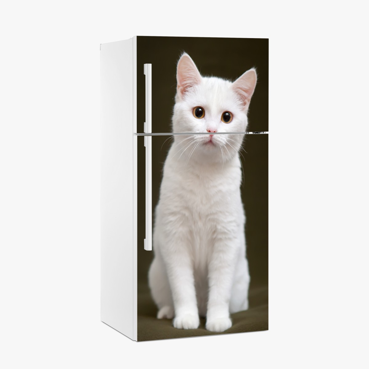 Fridge sticker adorable white cat portrait – Wallissimo®