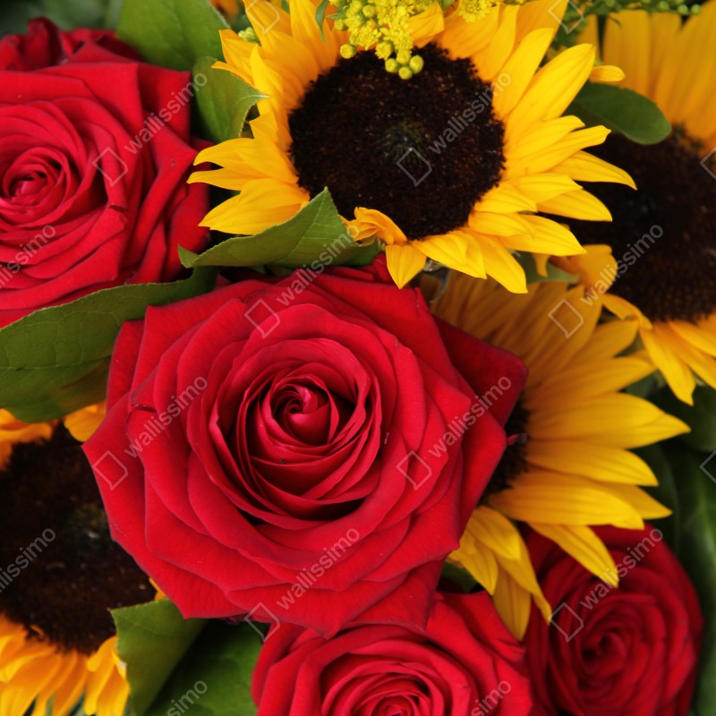 Naklejka na lodówkę czerwone róże i słoneczniki w bukiecie – Wallissimo® Naklejka na lodówkę czerwone róże i słoneczniki w bukiecie – Wallissimo®