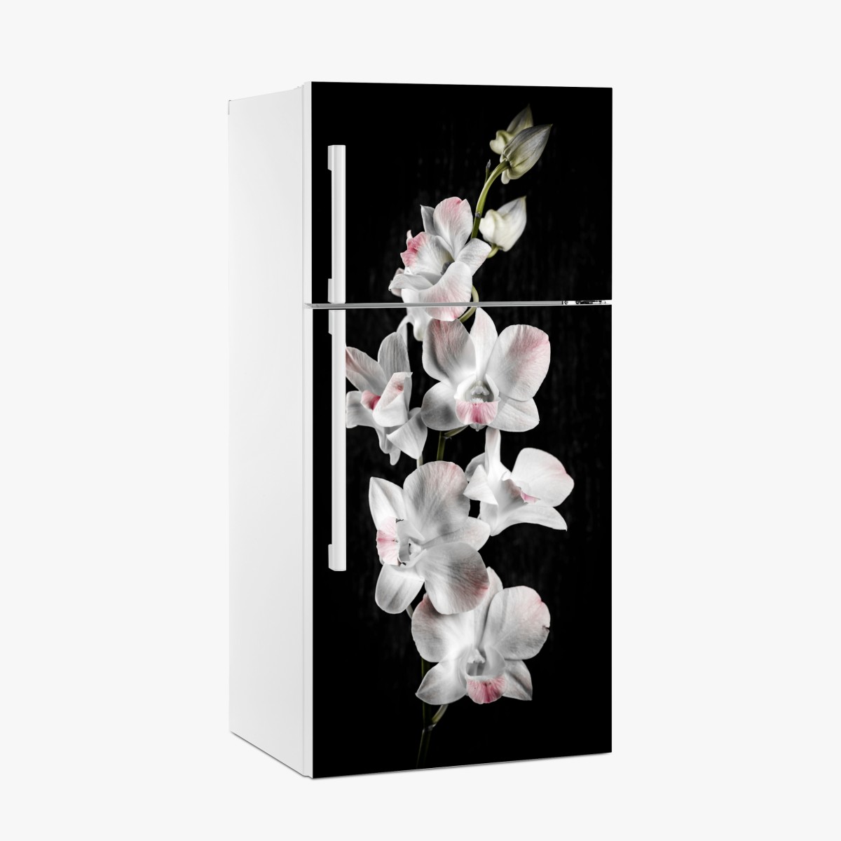 Fridge sticker white and pink orchid on black background – Wallissimo®