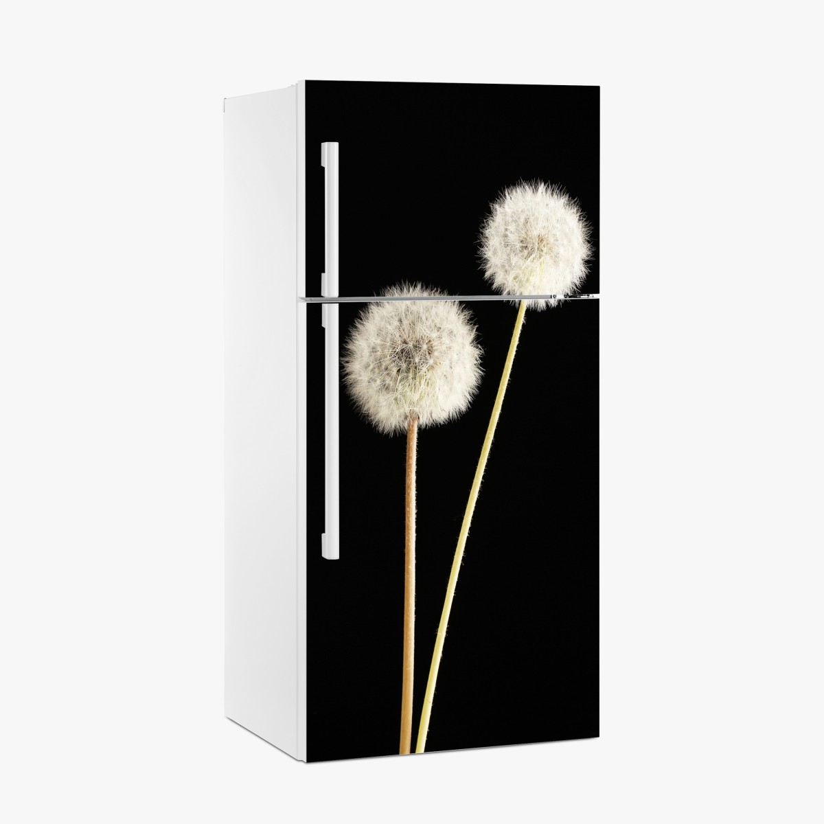 Fridge sticker delicate dandelion seed heads on black – Wallissimo®