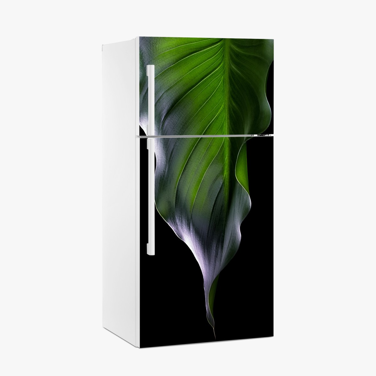 Fridge sticker elegant green leaf on black – Wallissimo®