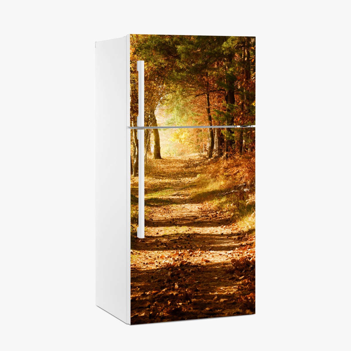 Fridge sticker autumn forest path with golden sunlight – Wallissimo®