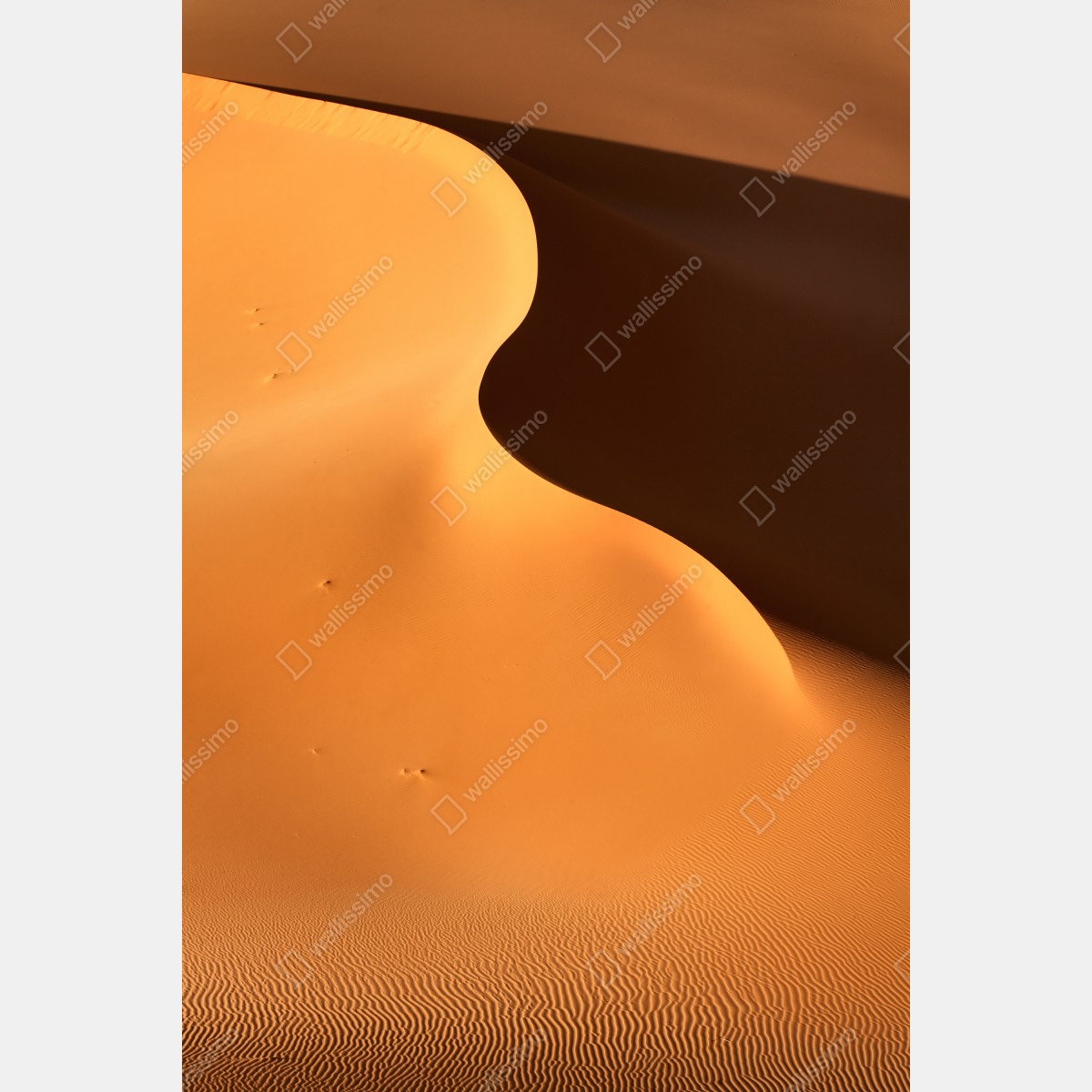 Naklejka na lodówkę złote krzywizny wydmy – Wallissimo® Naklejka na lodówkę złote krzywizny wydmy – Wallissimo®