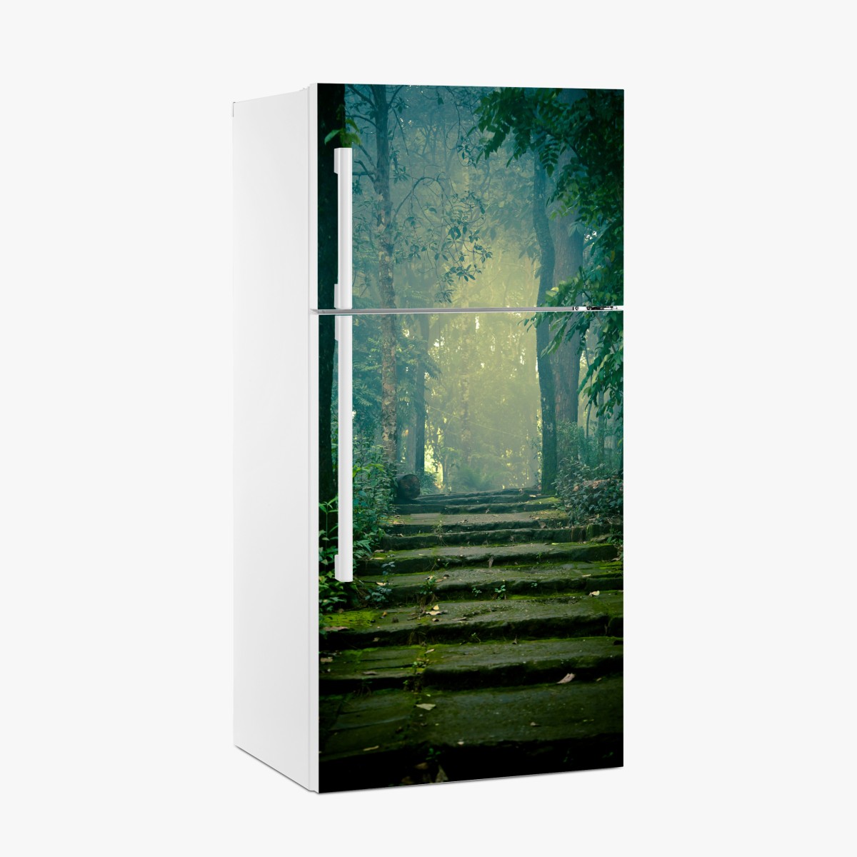 Fridge sticker moss-covered stone path into a misty forest – Wallissimo®