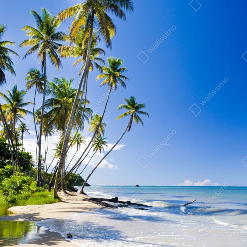 Naklejka na lodówkę tropikalna plaża z palmami pod błękitnym niebem – Wallissimo® Naklejka na lodówkę tropikalna plaża z palmami pod błękitnym niebem – Wallissimo®