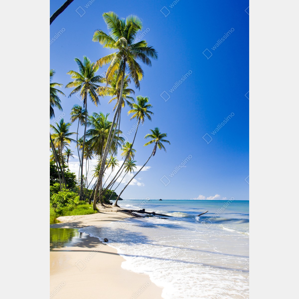 Naklejka na lodówkę tropikalna plaża z palmami pod błękitnym niebem – Wallissimo® Naklejka na lodówkę tropikalna plaża z palmami pod błękitnym niebem – Wallissimo®