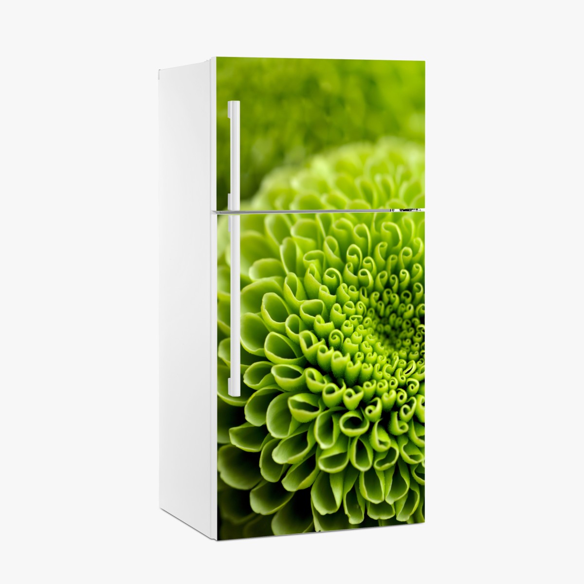 Fridge sticker vibrant green floral spiral macro – Wallissimo®