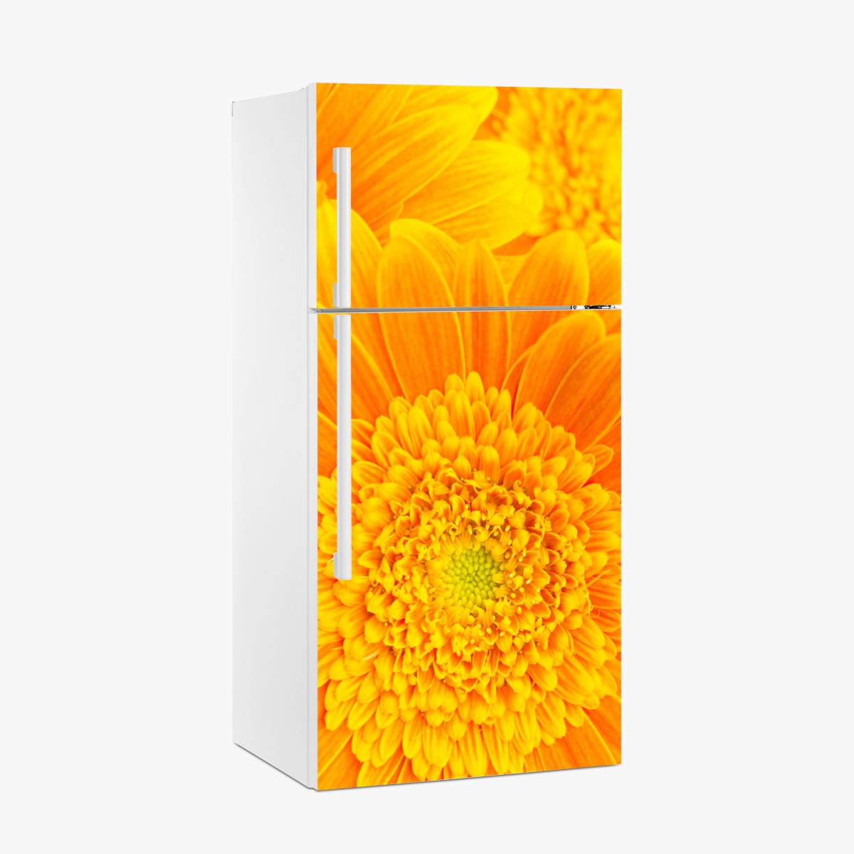Fridge sticker vibrant orange gerbera bloom close-up – Wallissimo®