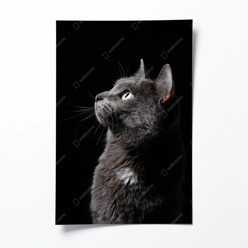 Plakat latarnia morska na końcu pomostu – Wallissimo®