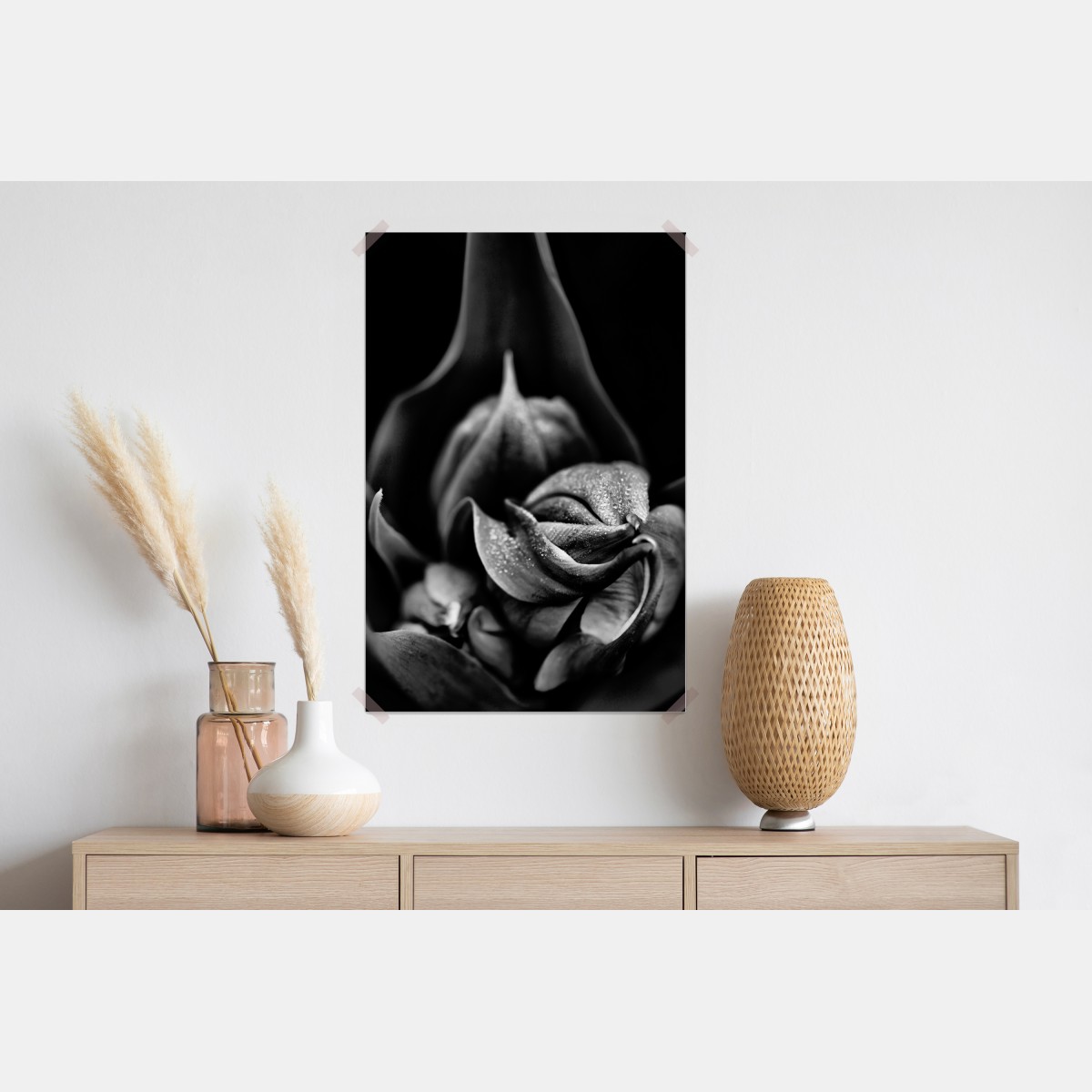 Plakat monochromatyczne zbliżenie kwiatu z kroplami rosy – Wallissimo® Plakat monochromatyczne zbliżenie kwiatu z kroplami rosy – Wallissimo®